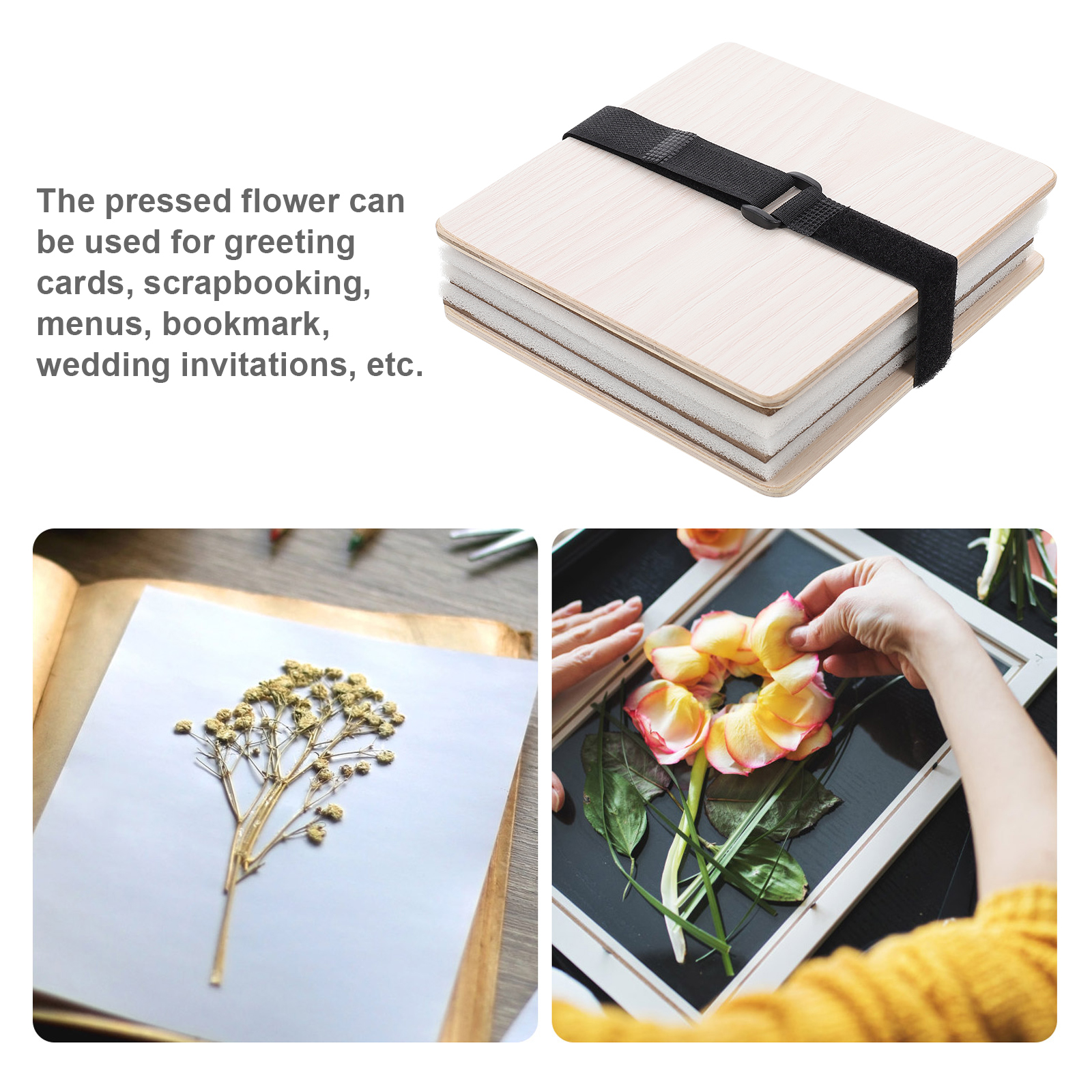 1 set Flower Press Kit Plant L - Ink Blotter Paper ulasan dan harga