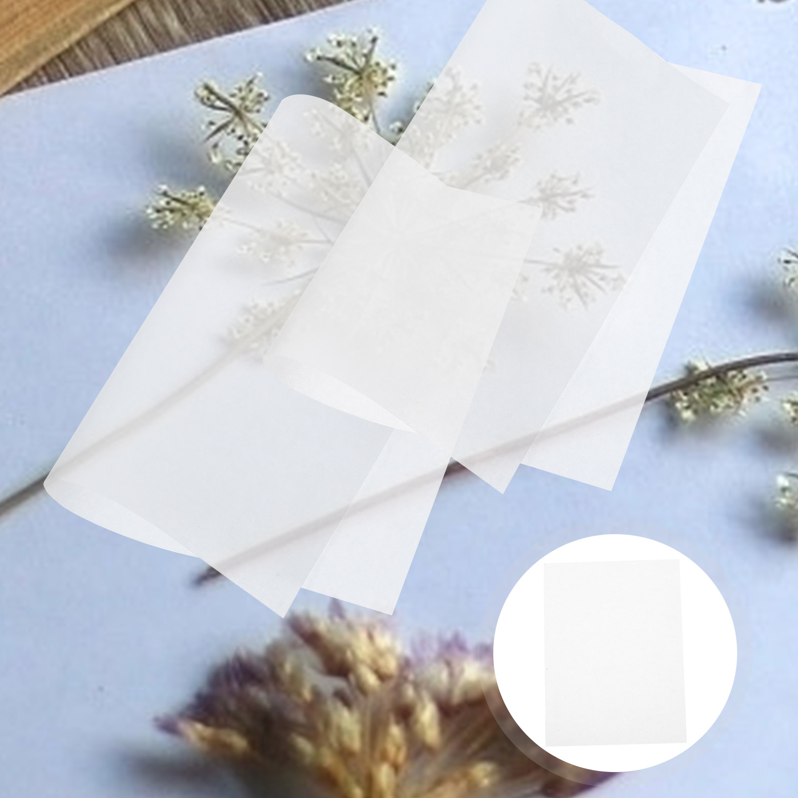 30pcs Flower Pressing Blotting - Ink Blotter Paper ulasan dan harga