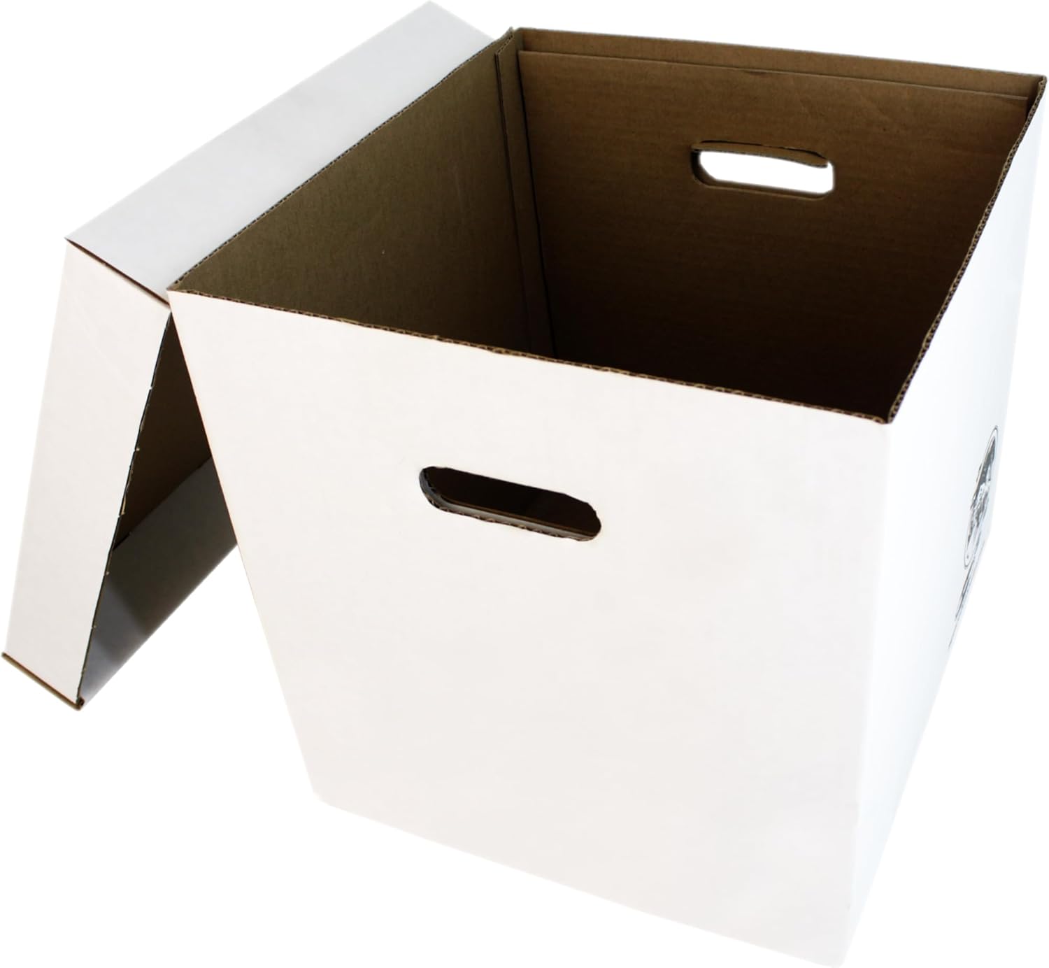 Set of 5 Heavy-Duty 12-Inch Vi - Archive Box Set ulasan dan harga