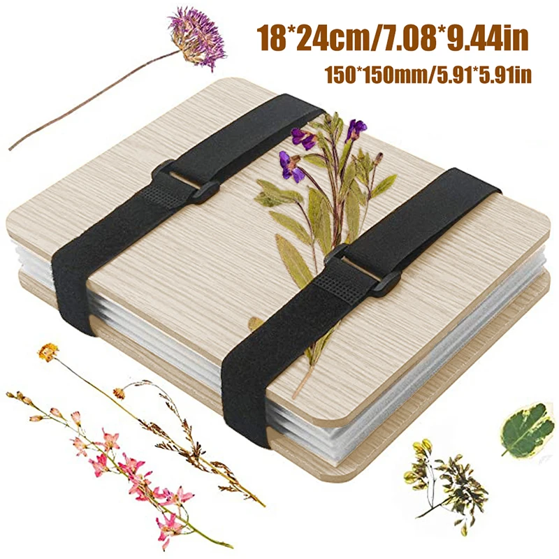 1 Set Plant Specimen Tool Kit  - Ink Blotter Paper ulasan dan harga