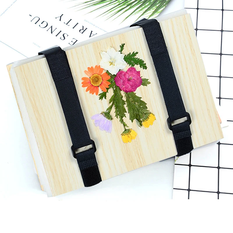 1 Set Plant Specimen Tool Kit  - Ink Blotter Paper ulasan dan harga